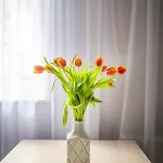 Easy Rent- Gusto, Centrum, 24h Check-in Lublin