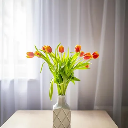 Easy Rent- Gusto, Centrum, 24h Check-in Lublin