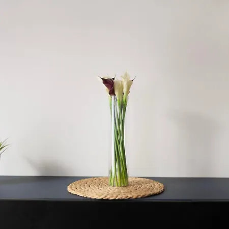 Easy Rent- Gusto, Centrum, 24h Check-in *