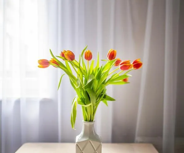 Easy Rent- Gusto, Centrum, 24h Check-in 루블린