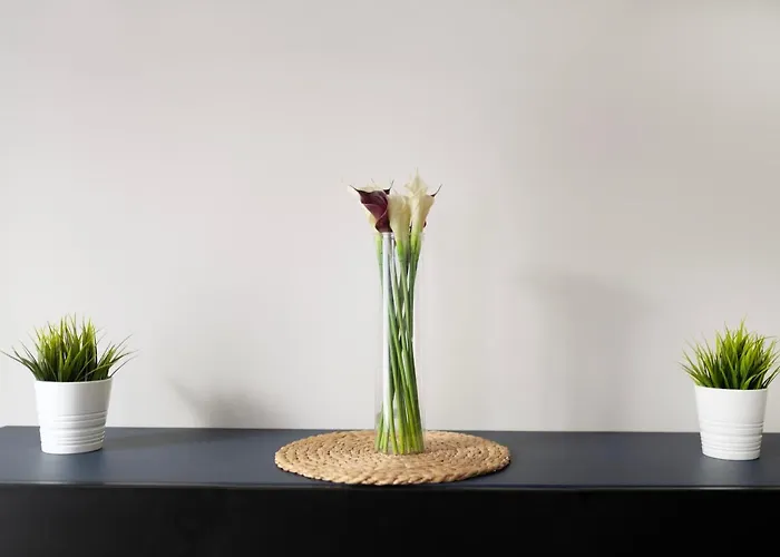 Easy Rent- Gusto, Centrum, 24h Check-in *